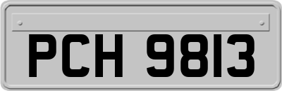 PCH9813