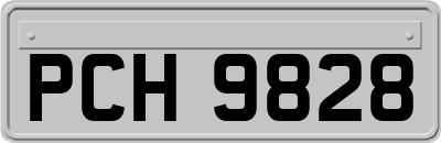 PCH9828