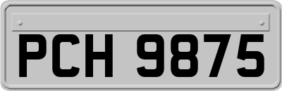 PCH9875