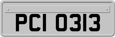 PCI0313