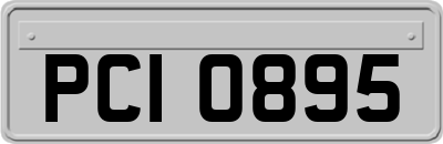 PCI0895