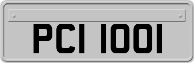 PCI1001