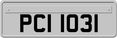 PCI1031