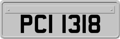 PCI1318