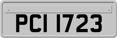 PCI1723