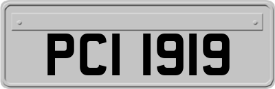 PCI1919