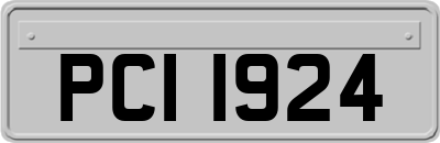 PCI1924