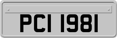 PCI1981