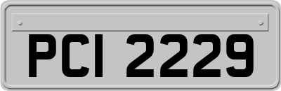 PCI2229