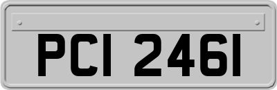 PCI2461