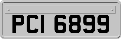 PCI6899