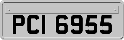 PCI6955