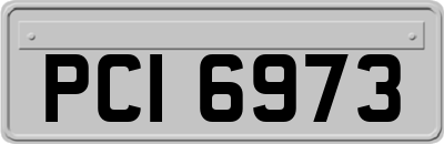 PCI6973