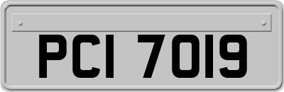 PCI7019