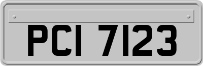 PCI7123