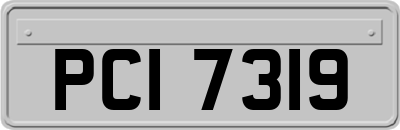 PCI7319