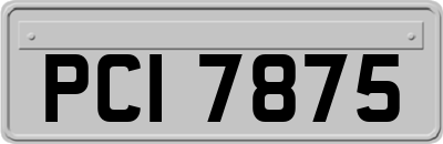 PCI7875