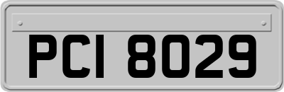 PCI8029