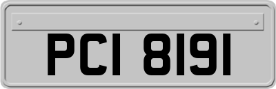 PCI8191