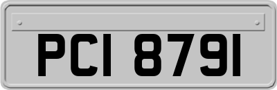 PCI8791