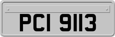 PCI9113