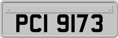 PCI9173