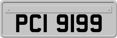 PCI9199