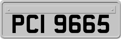 PCI9665