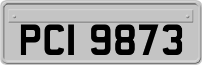 PCI9873