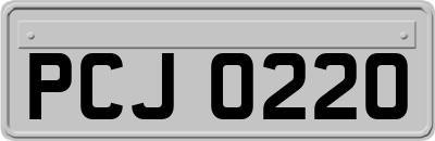 PCJ0220