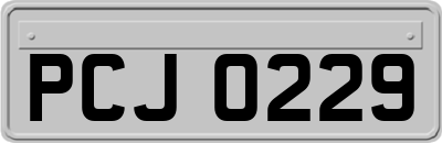PCJ0229
