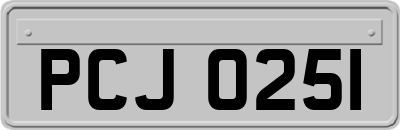 PCJ0251