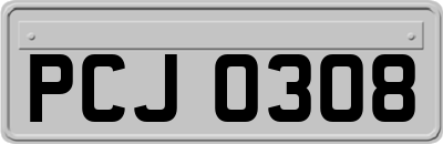 PCJ0308