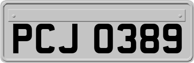 PCJ0389