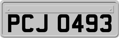 PCJ0493