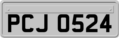 PCJ0524