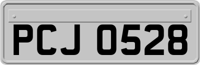 PCJ0528