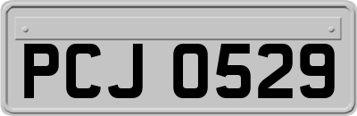 PCJ0529