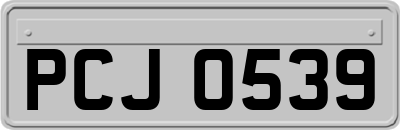 PCJ0539