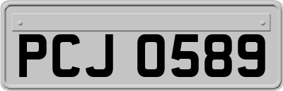 PCJ0589