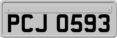 PCJ0593