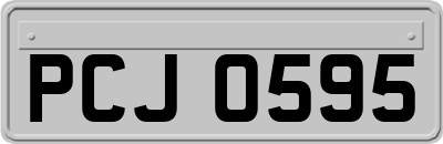 PCJ0595