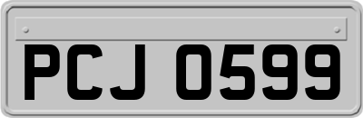 PCJ0599