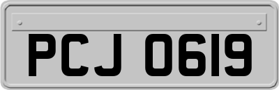 PCJ0619