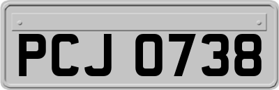 PCJ0738