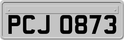 PCJ0873