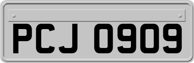 PCJ0909