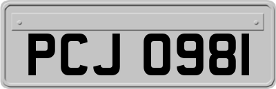PCJ0981