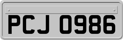 PCJ0986