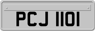 PCJ1101